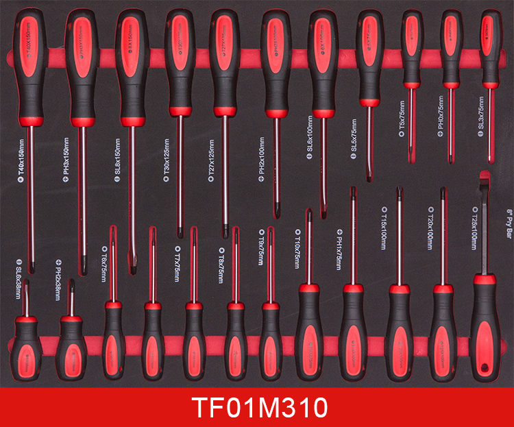 TF01M310 